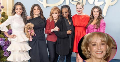 Image of 'The View' panel and (inset) Barbara Walters.