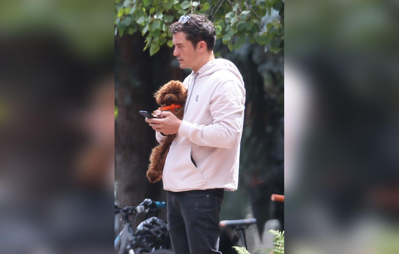 Orlando bloom puppy