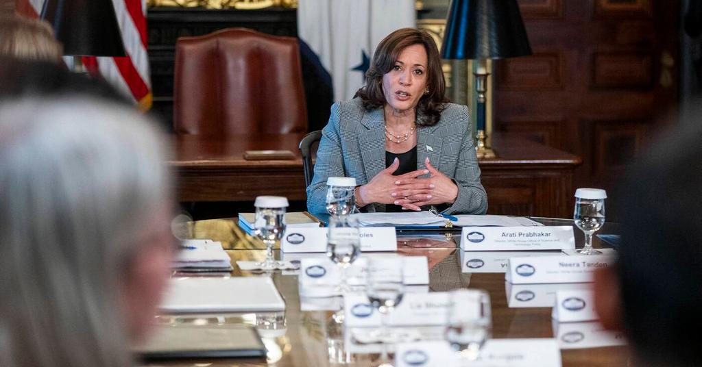 VP Kamala Harris Fumbles While Trying To Explain Artificial Intelligence