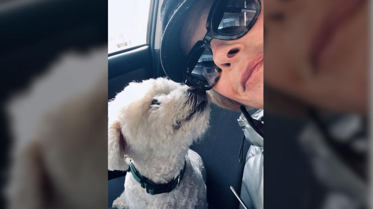 image of The 'Dallas' actress opened up about her ongoing cancer battle in a heartfelt final post.