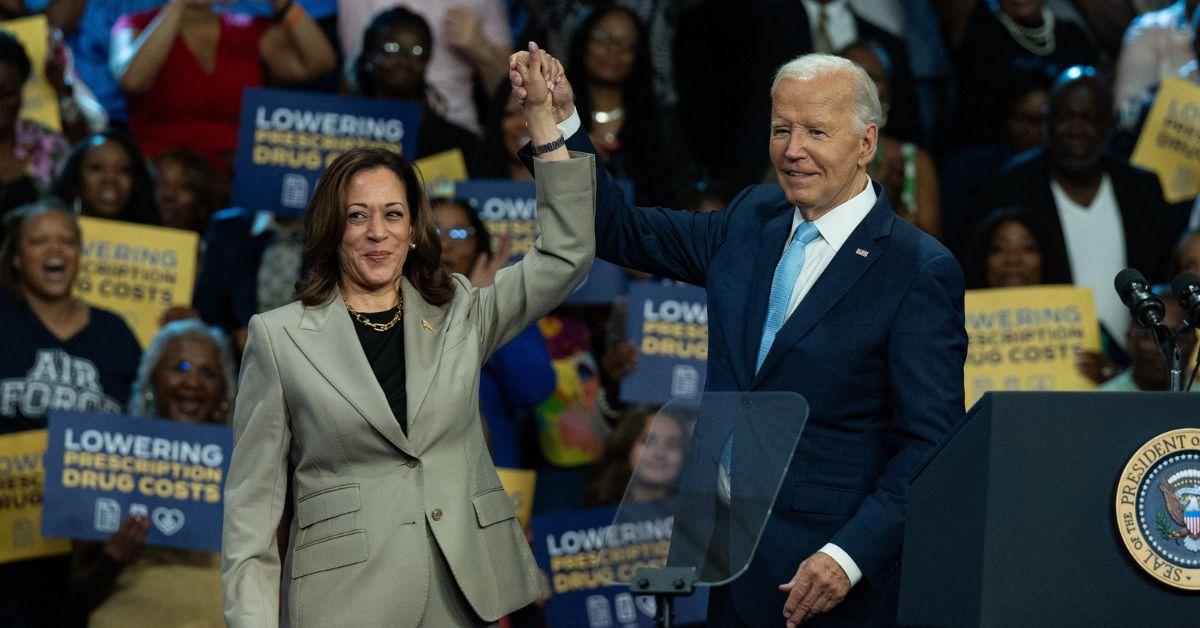 kamala harris huge crowds ahead of the  election are ai