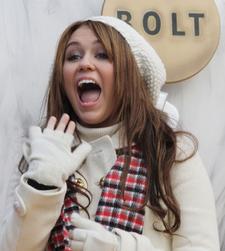 2008__12__20376.jpg