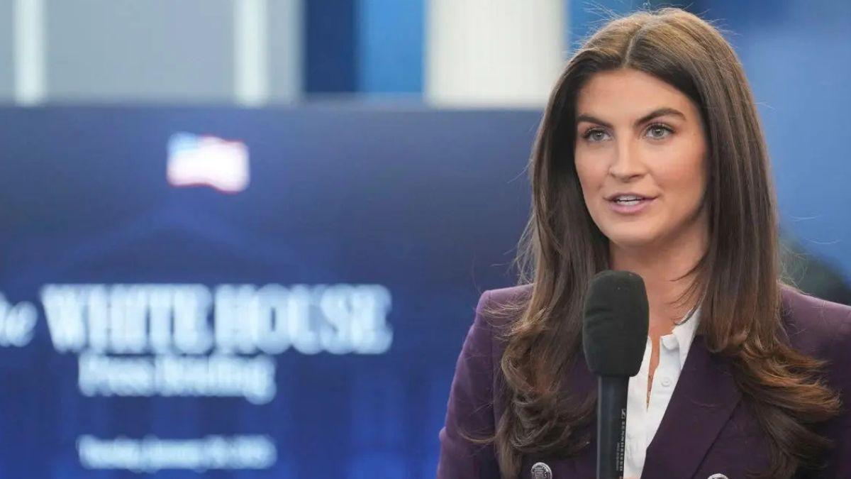 image of kaitlin collins