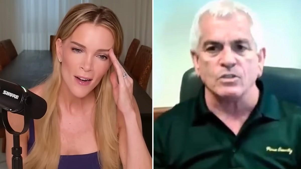 split of Megyn Kelly and Chris Nanos. 