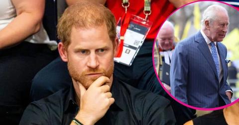 image of Charles and harry
