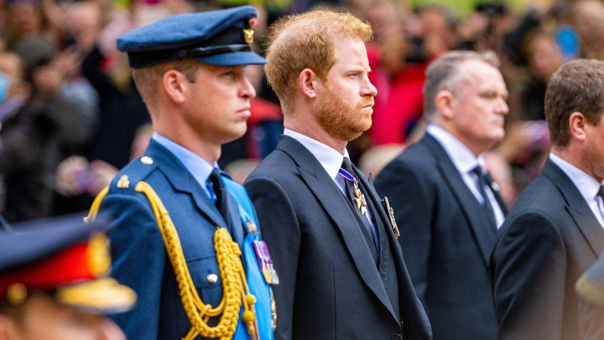 image of prince harry and Prince William