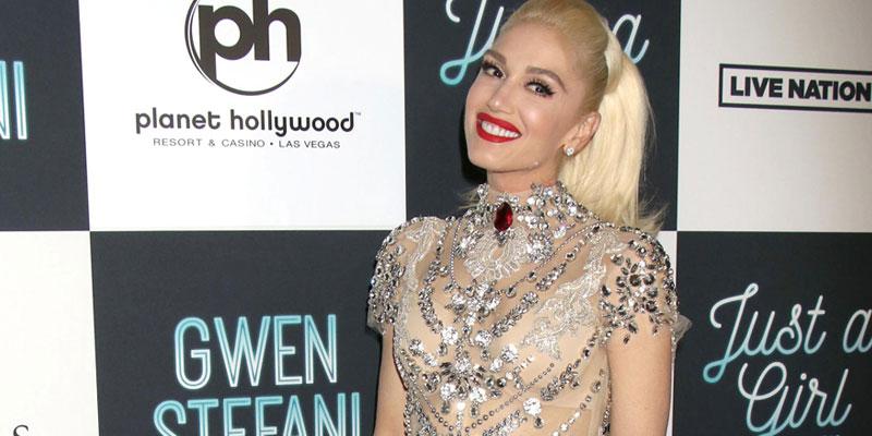 Gwen Stefani was offered Elastic Heart by Sia