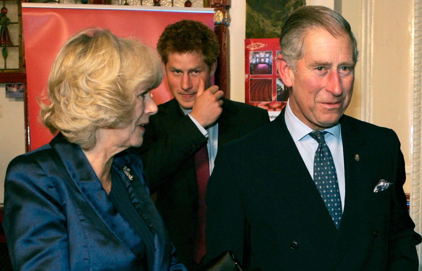 Young Prince William & Prince Harry 'Didn't Take Kindly To Camilla'