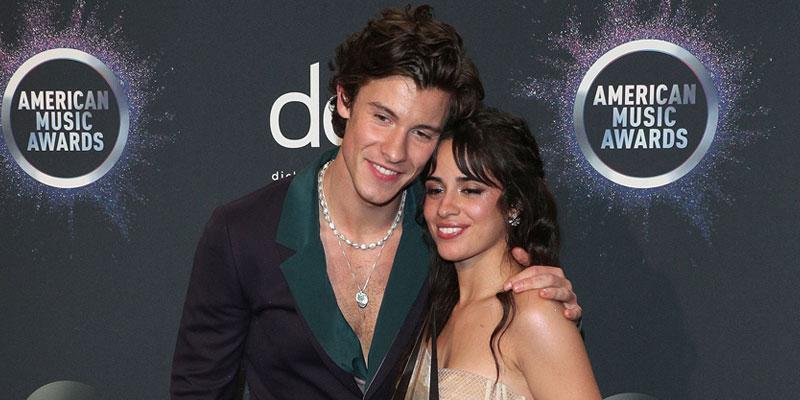 Shawn Mendes Has 'Lots Of Love Songs' About Camila Cabello On Album