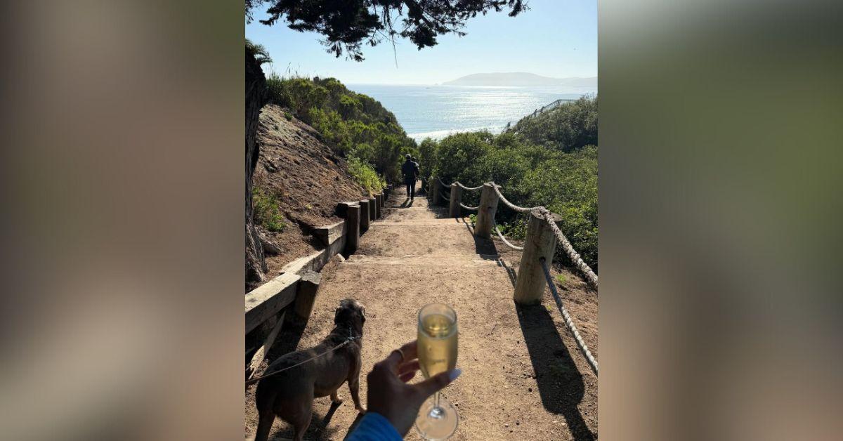 brittany williams vacation