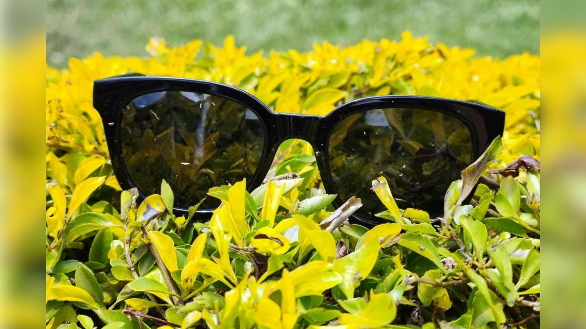 top celebrity mens sunglasses for  whats old is new again