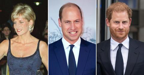 princess diana would be infuriated by prince william prince harrys long standing feud biographer spills pp