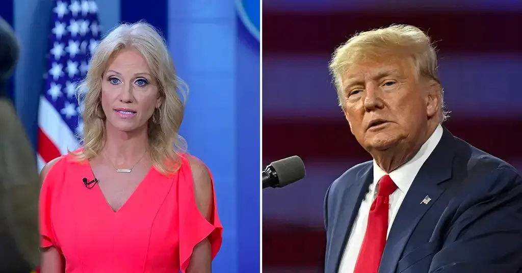 kellyanne conway faces backlash for absurd criticisms of democrats