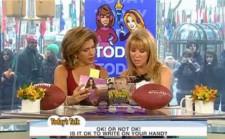 2010__02__kathie_lee_hoda_ok_feb18 225×139.jpg