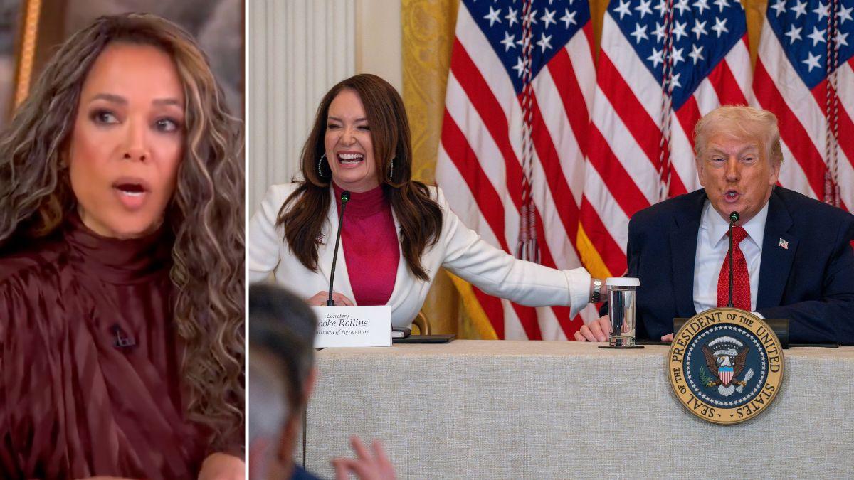 Composite photo of Sunny Hostin, Brooke Rollins and Donald Trump