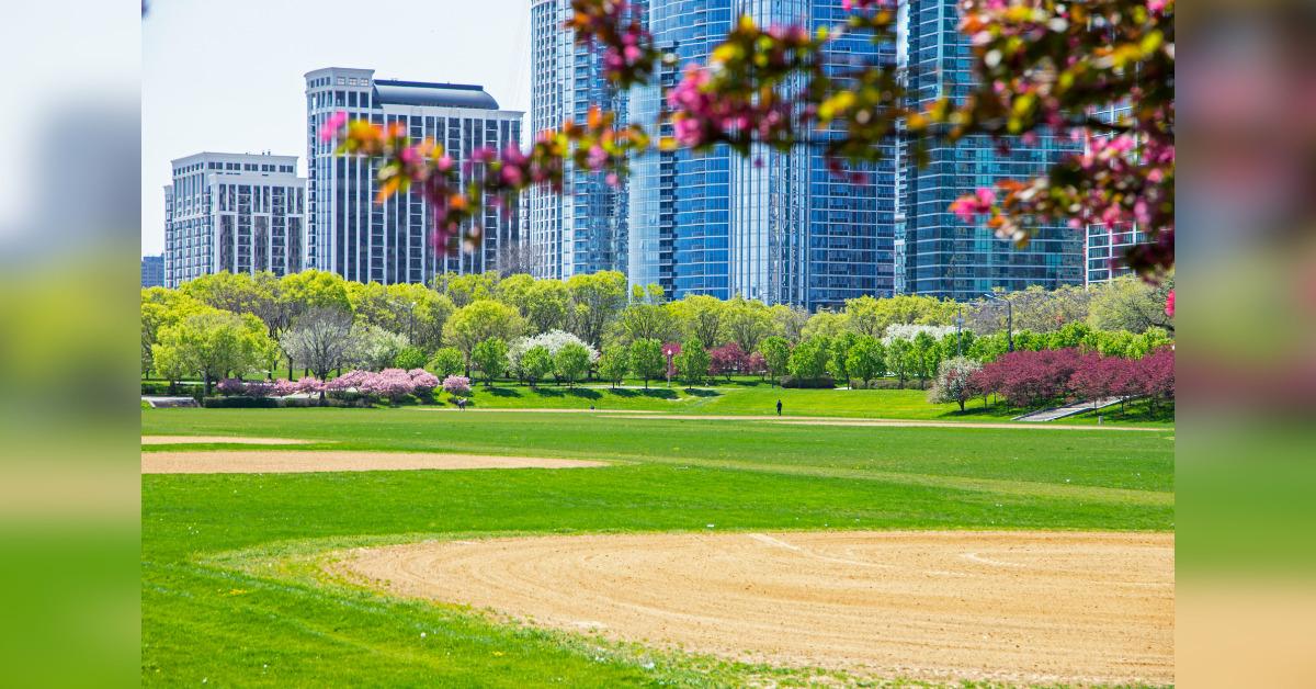 retail stores what does it take to maintain a lush commercial turf