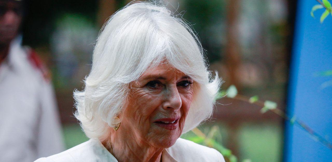 queen camilla declares no intention stop commitment ending domestic violence