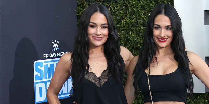 Nikki & Brie Bella Dazzle At Couture Council Awards Luncheon