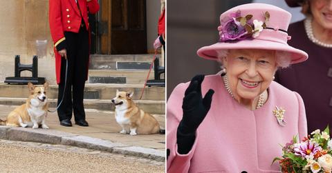 queen elizabeth corgis final hours pp