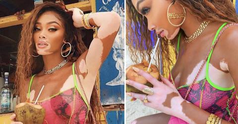 winnie prety little thing gallery pp