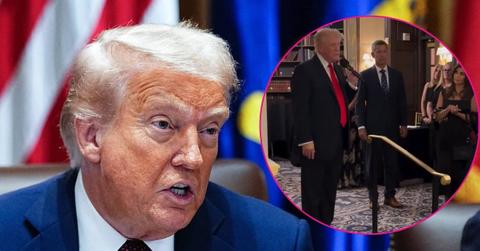 trump makes bizarre smart people comment