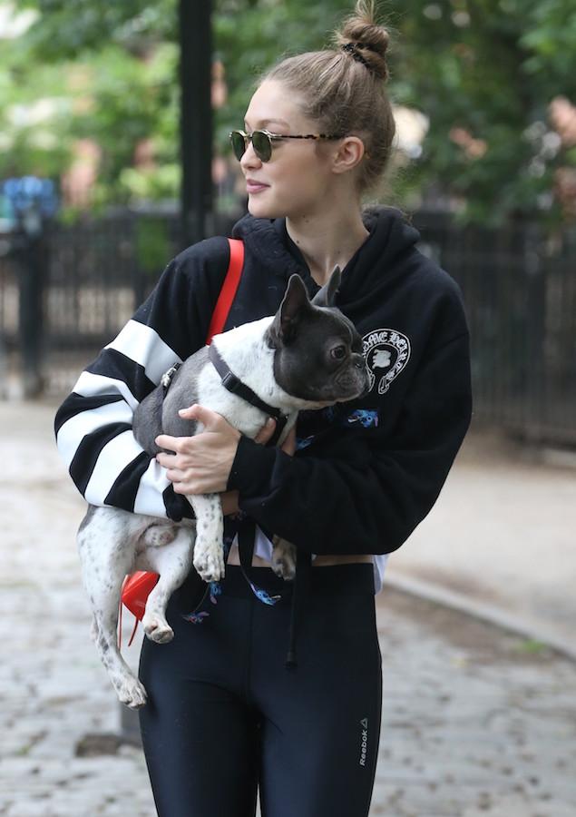 Gigi Hadid takes her French Bulldog to the park in NYC