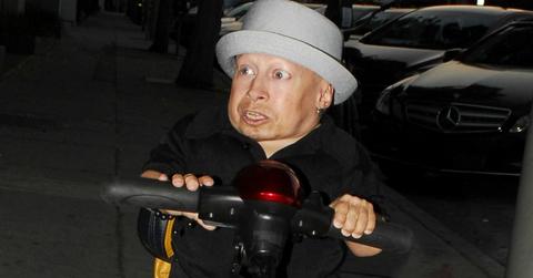 Verne troyer dead cause instagram