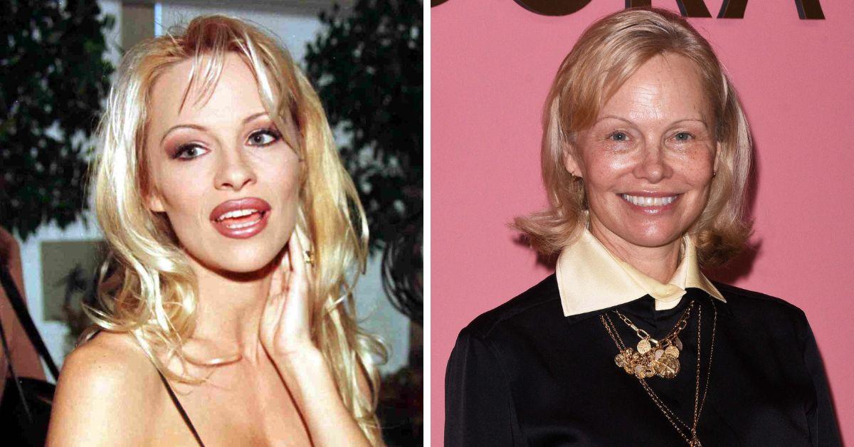 pamela anderson unforgettable rise to fame photos