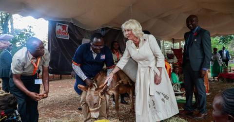 queen camilla life changed when she became royal