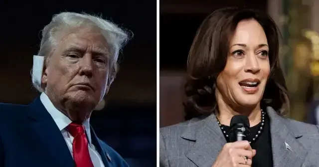 Split photo of Donald Trump and Kamala Harris