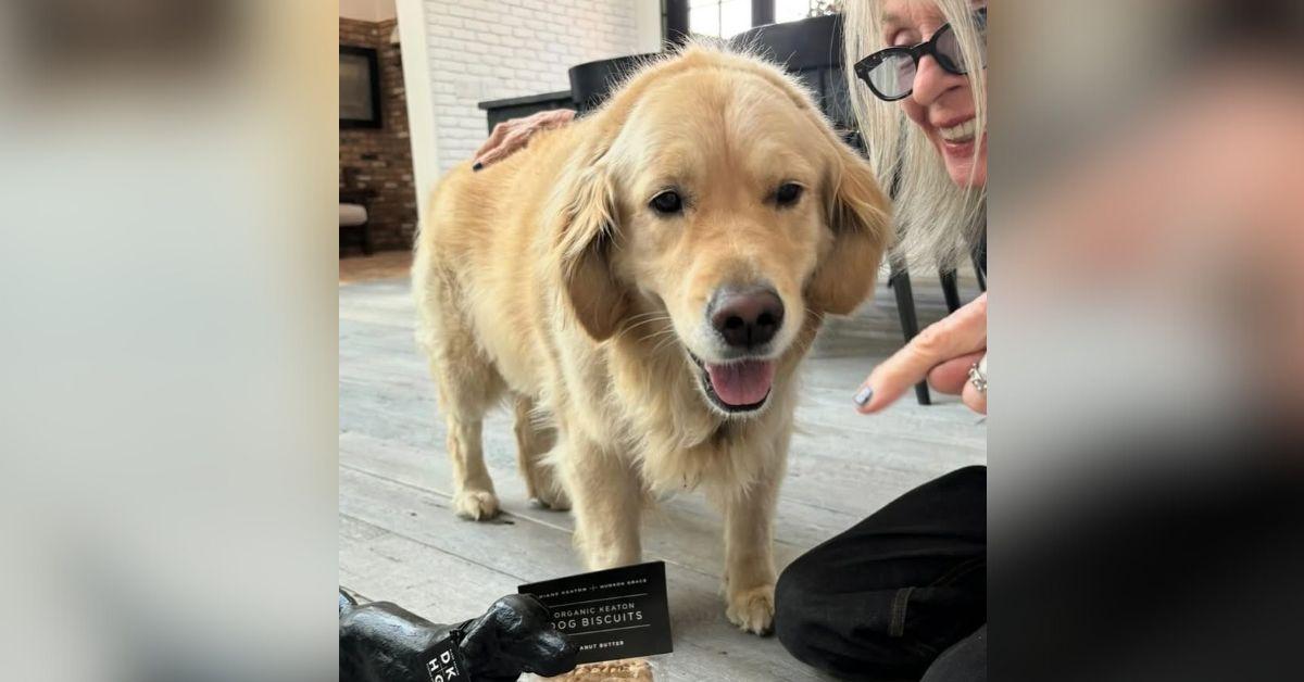 image of Diane Keaton last posted with her dog in April. 