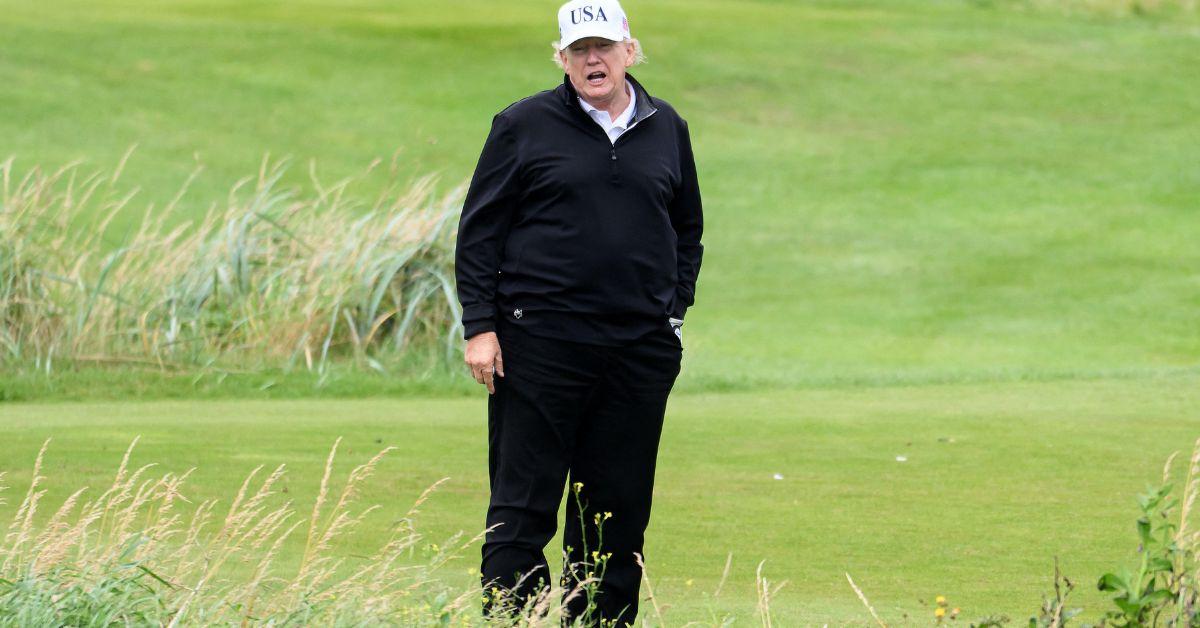 Photo of Donald Trump