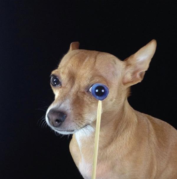 The 14 Coolest NonCelebrity Instagram Accounts to Follow