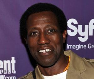 2010__11__Wesley_Snipes_Nov19news 299×300.jpg