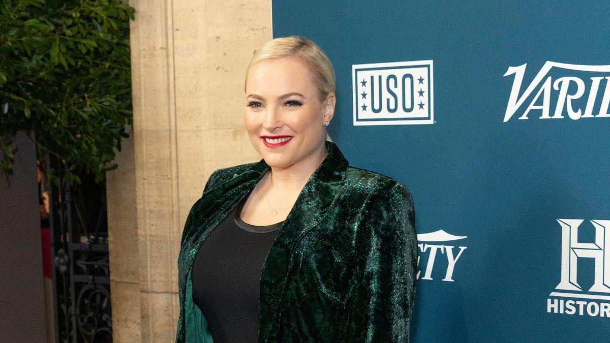 Image of Meghan McCain was accused of 'fat-shaming' a private citizen.
