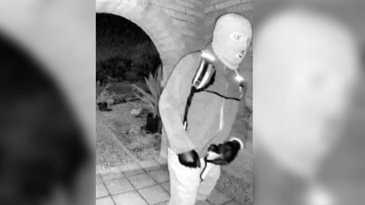 image of Nancy Guthrie has been missing since February 1. 