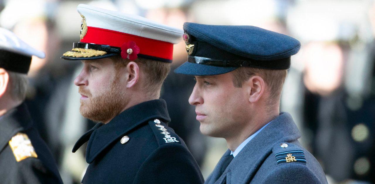 prince william hates prince william after release spare