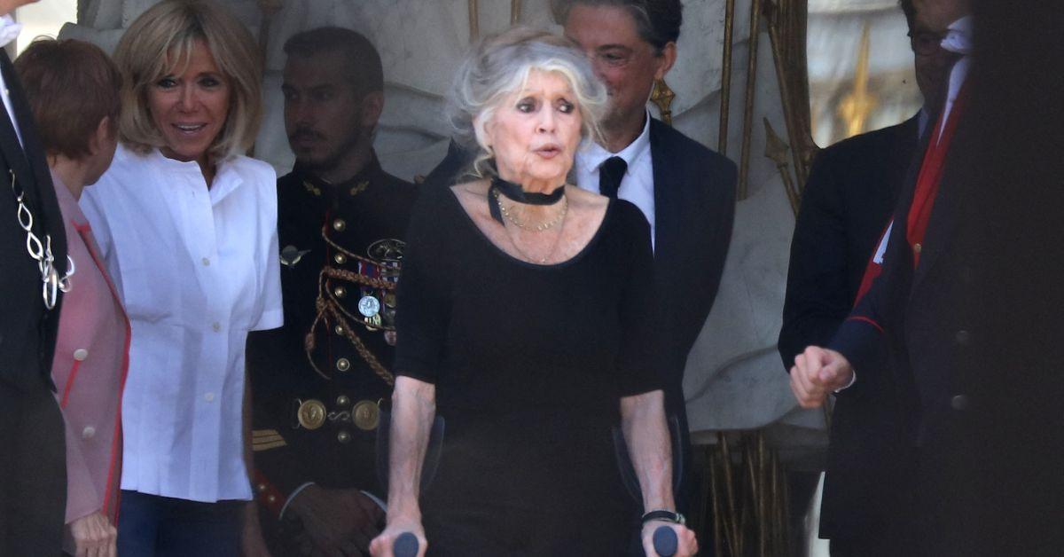 image of Brigette Bardot was a major advocate for animal rights.