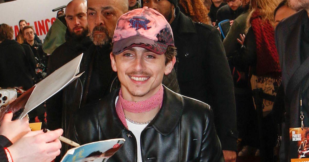 timothee chalamet