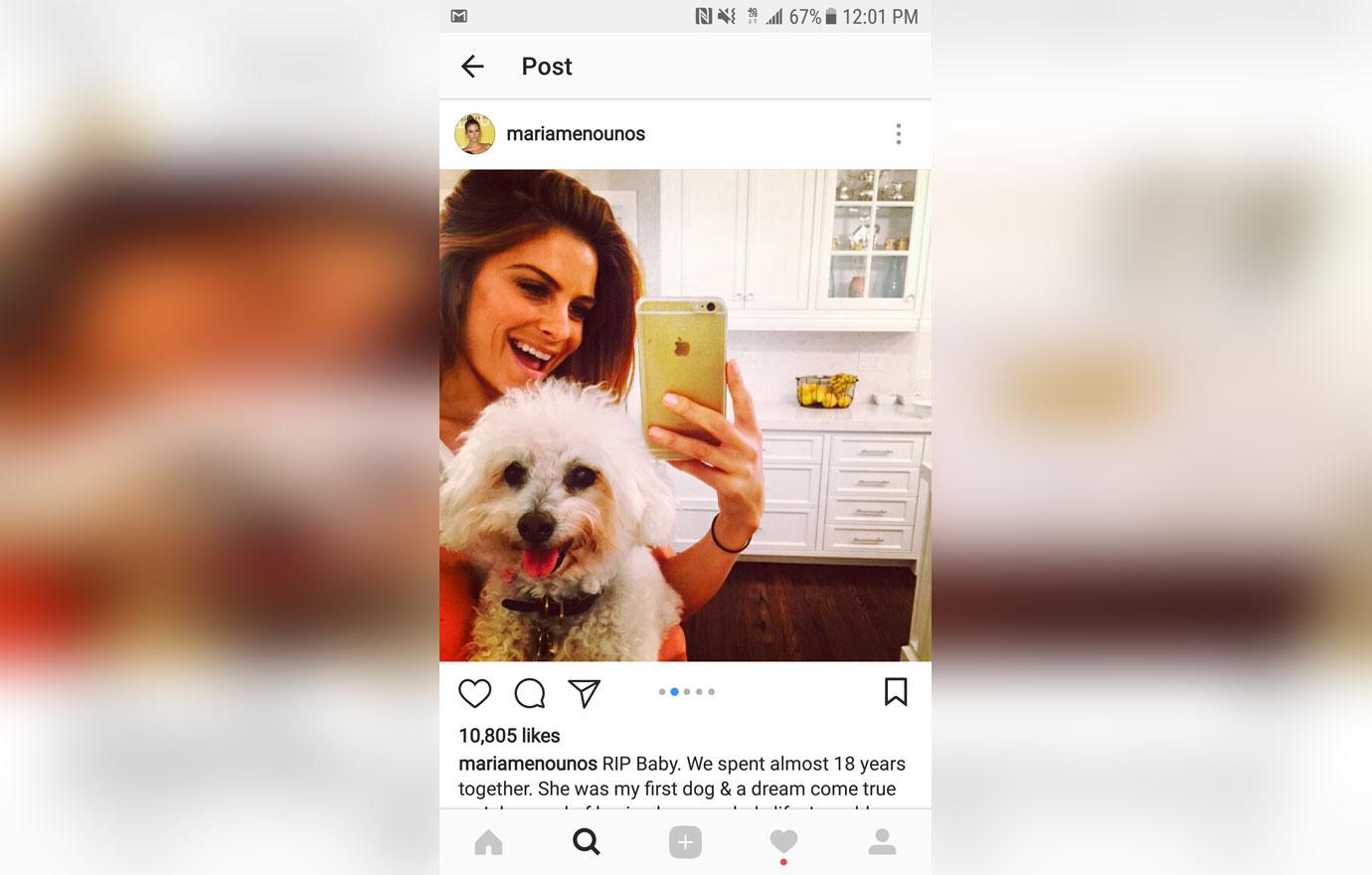 Maria menounos mourns loss family member 3new