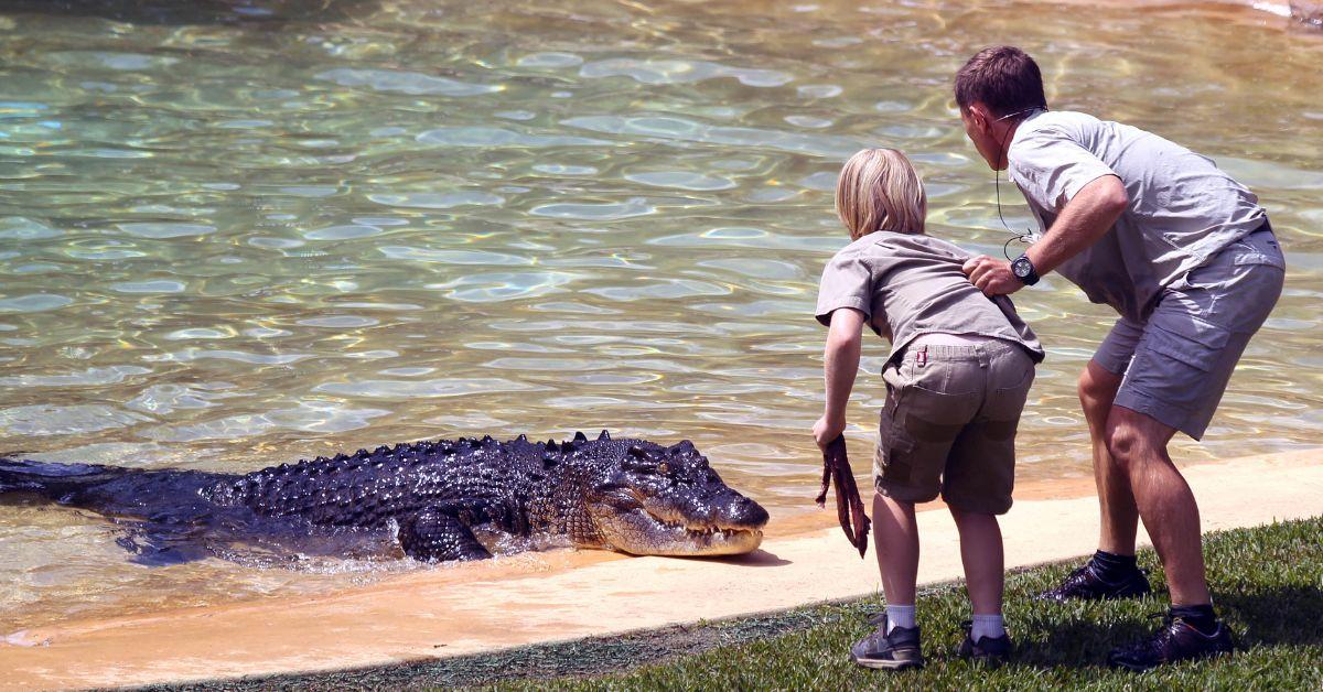 image of The conservationist explained that the dangerous encounter happened while researching crocodiles.