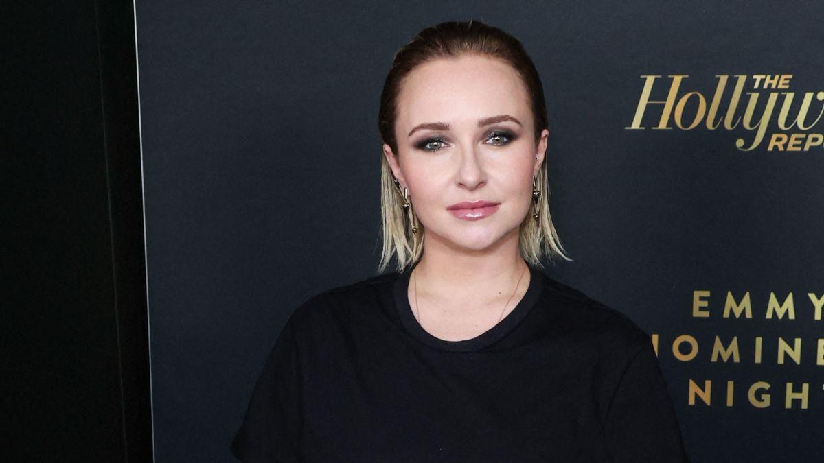 Image of Hayden Panettiere claimed the actor's private parts were 'hanging out from his unzipped fly.'