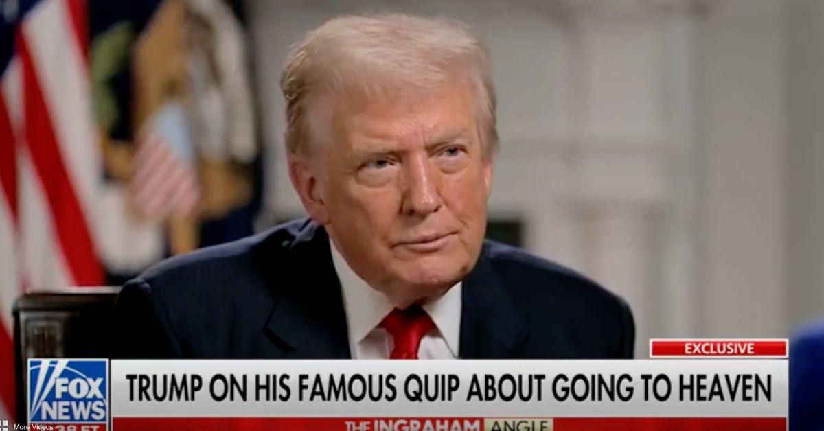 image of 'You can’t be sarcastic as a politician, or have fun,' Trump told Laura Ingraham.