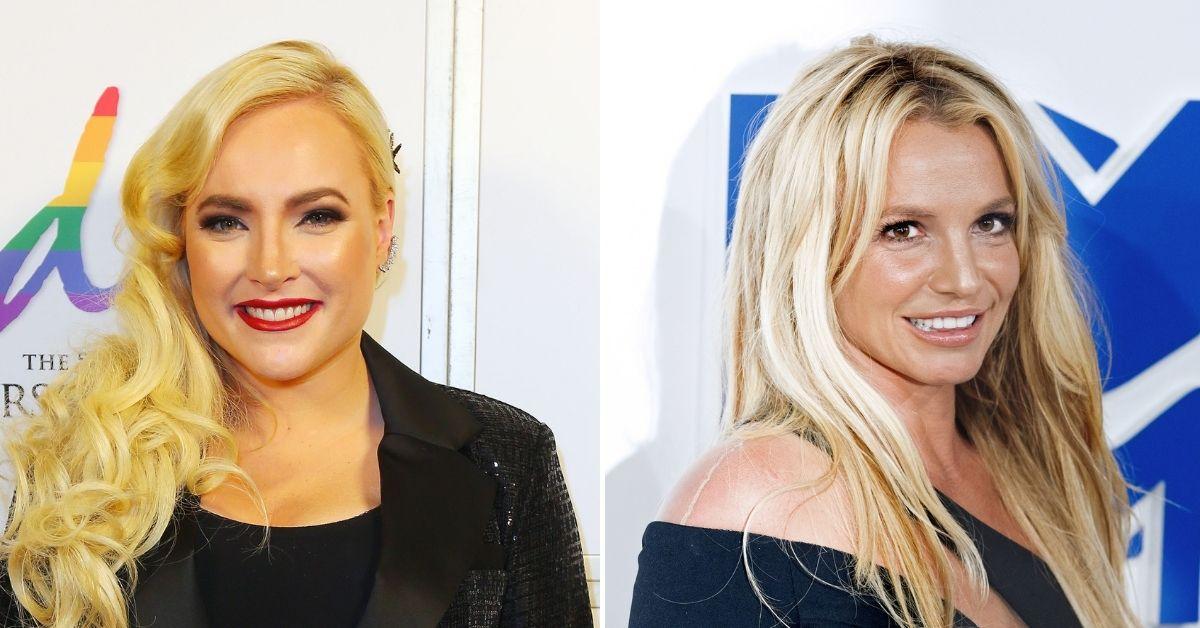 meghan mccain the view britney spears family monsters conservatorship battle