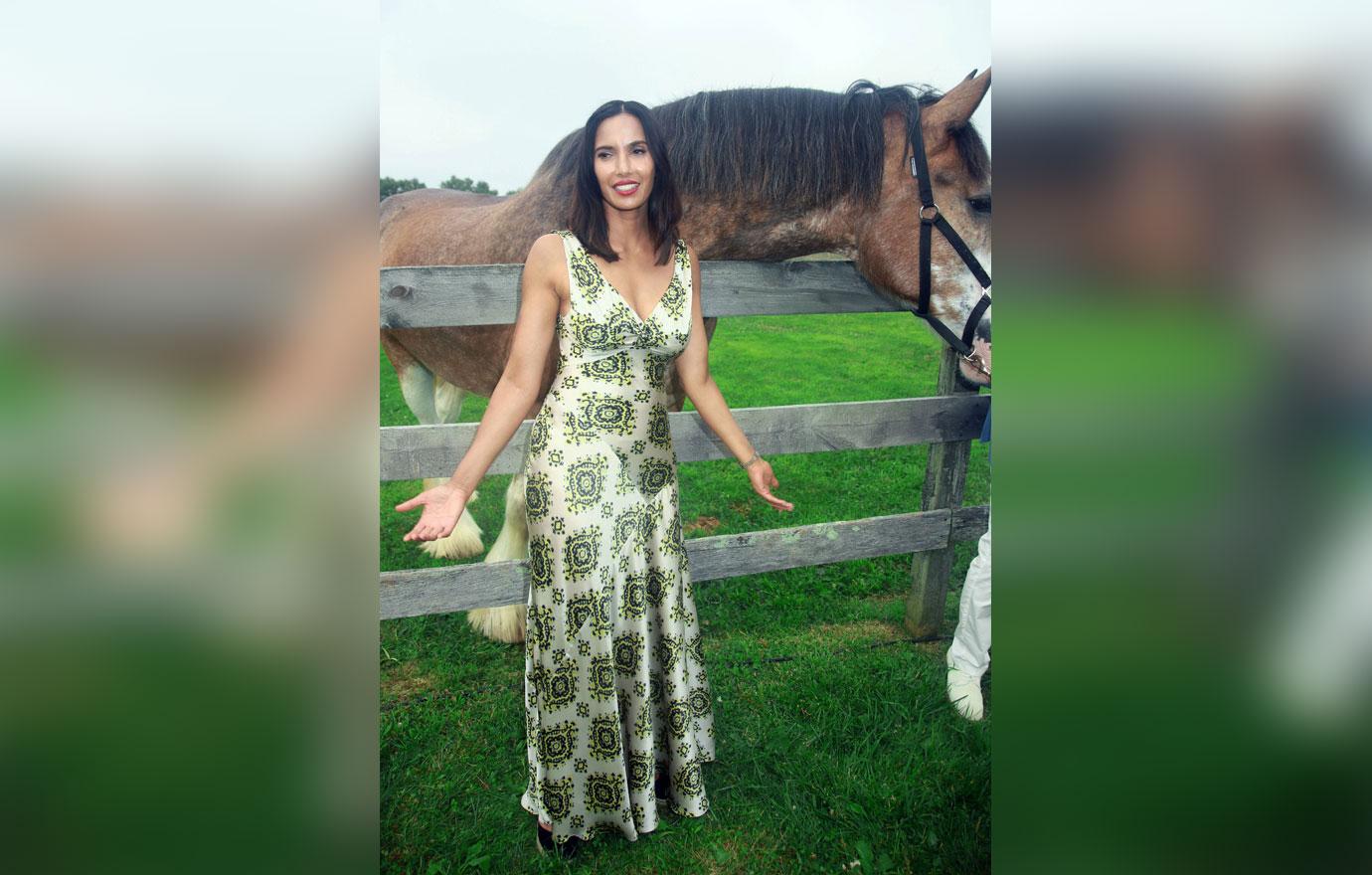 Padma lakshmi gorgeous green dress james beard honor 6