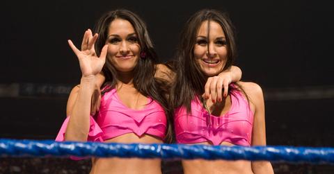The Bella Twins