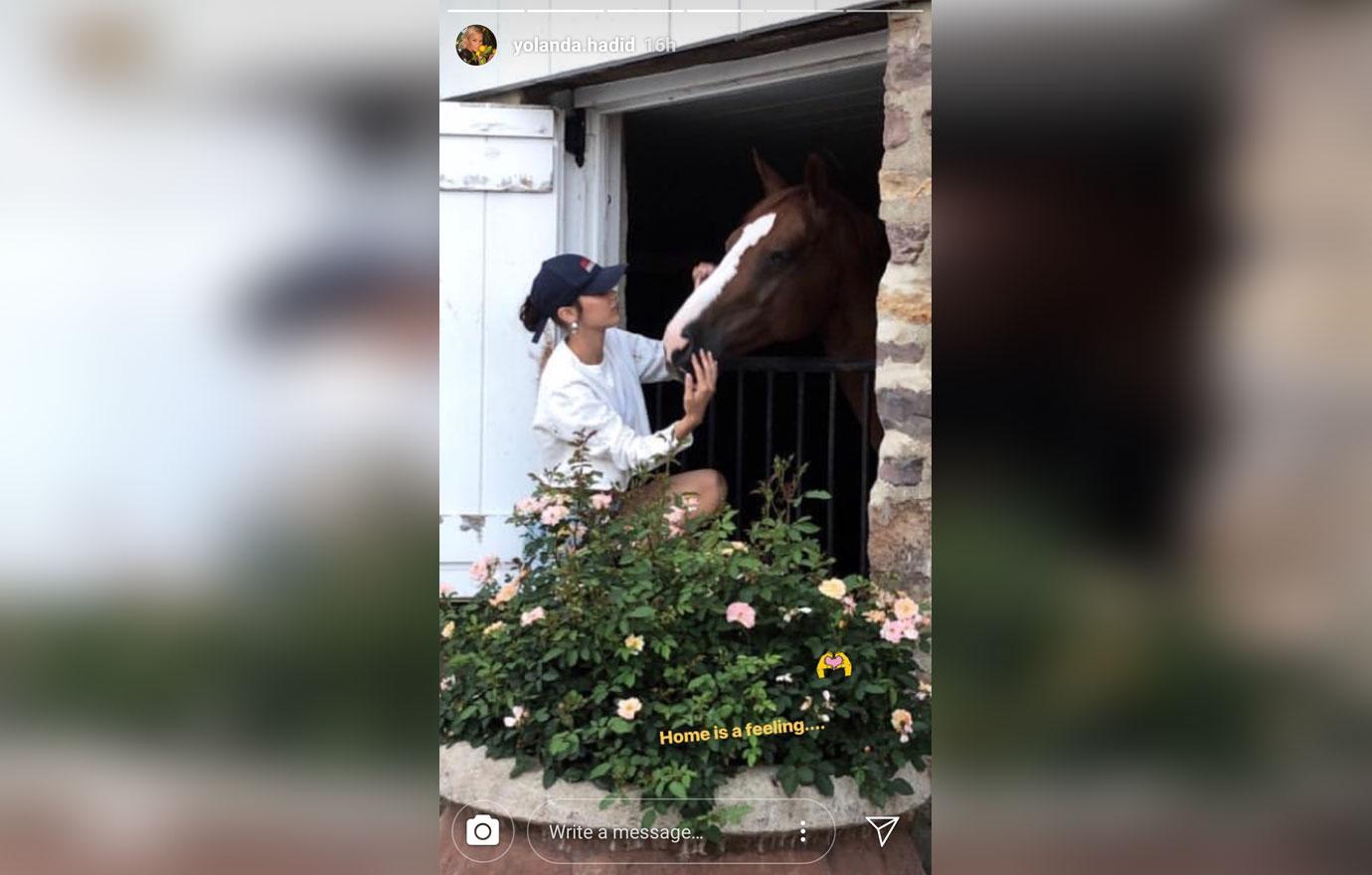 Bella hadid the weeknd hang out farm with yolanda 3