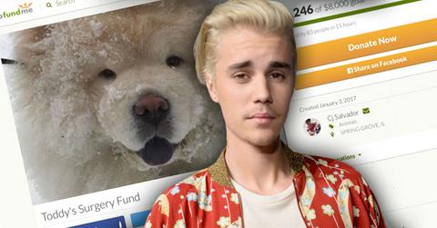 Justin bieber abandons dog todd go fund me