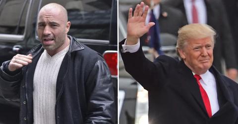 joe rogan trump pp
