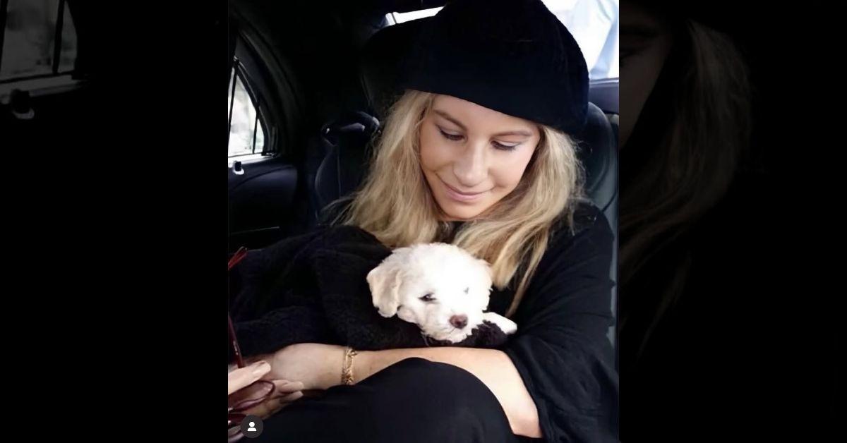 Photo of Barbra Streisand